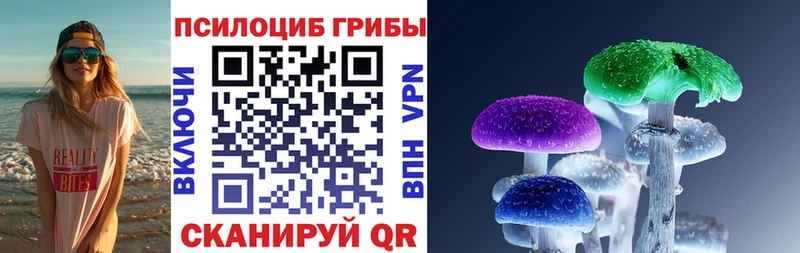 Псилоцибиновые грибы прущие грибы Тольятти