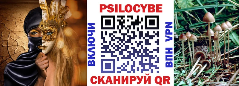 blacksprut онион  купить наркоту  Тольятти  Галлюциногенные грибы мицелий 